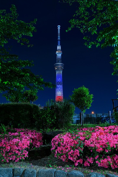 星条旗カラーの東京スカイツリー