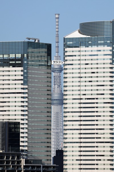 東京隙間ツリー