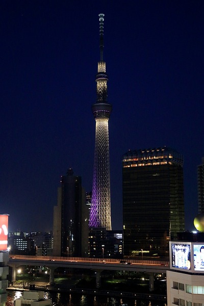 浅草文化観光センターから見た東京スカイツリー