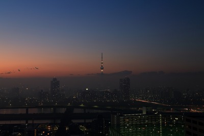 上だけ見えた東京スカイツリー夜景