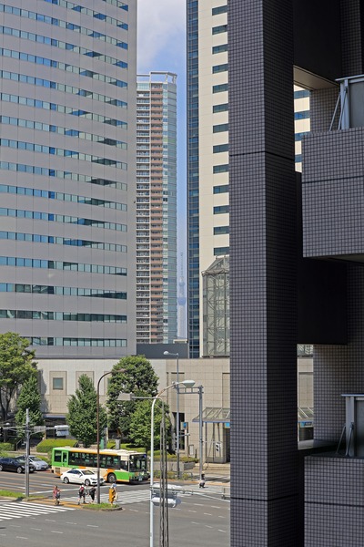 豊洲から隙間ツリー