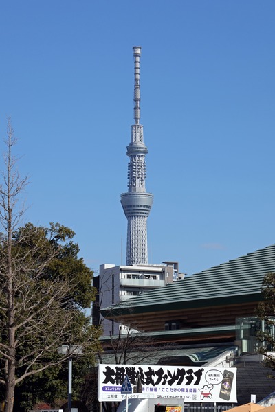 両国国技館と東京スカイツリー