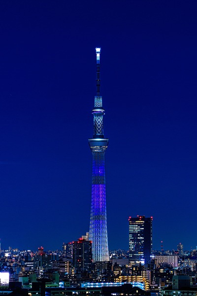 紫色の特別ライティング