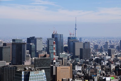東京タワーから見た東京スカイツリー