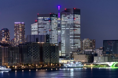 隙間ツリー夜景