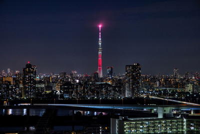 SDGsの17色をイメージした特別ライティング