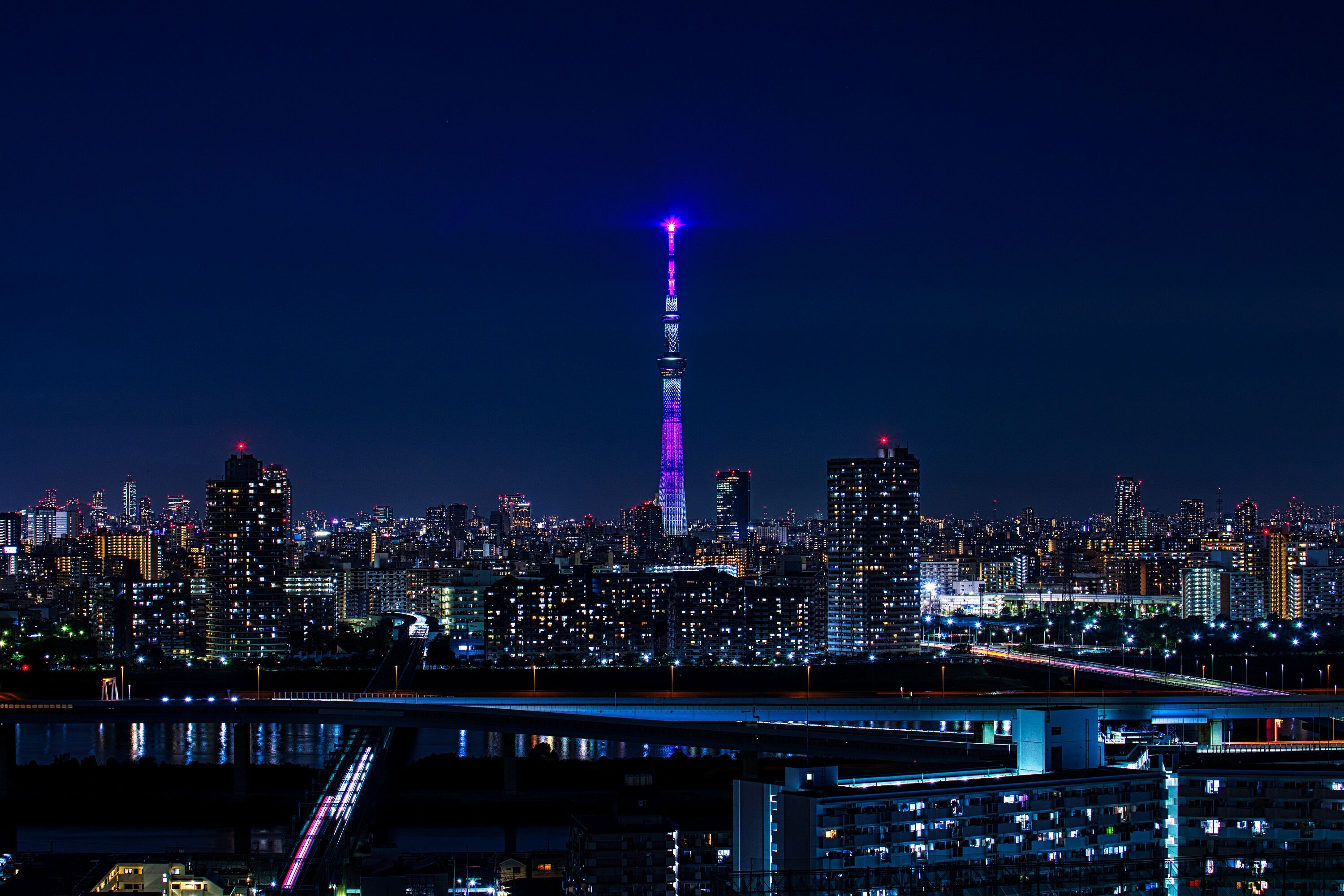 東京スカイツリー定点観測所