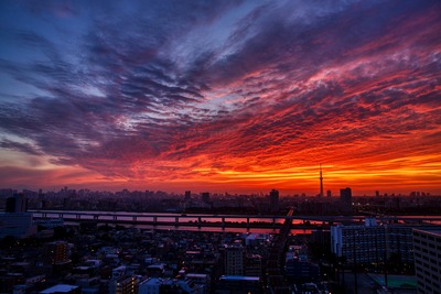 東京スカイツリーある夕焼け