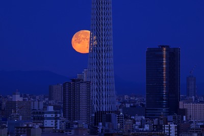 ほぼ満月と東京スカイツリー