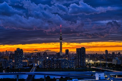 東京スカイツリー夕景