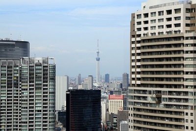 世界貿易センターから見た東京スカイツリー