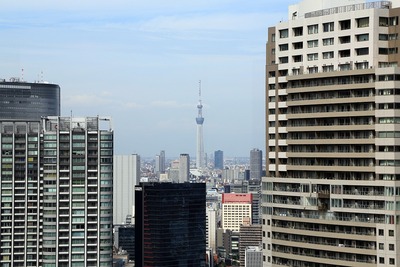 世界貿易センターから見た東京スカイツリー