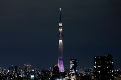 東京スカイツリー夜景「雅」