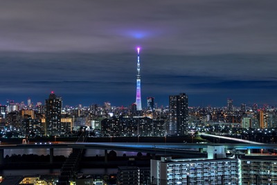 「桜宙（さくらそら）～Sakura SKY～」特別ライティング