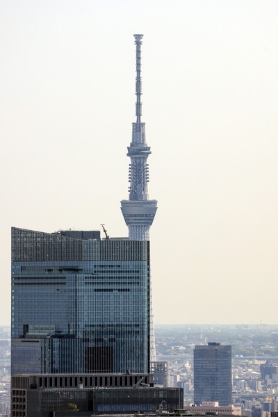 東京タワーから見た東京スカイツリー