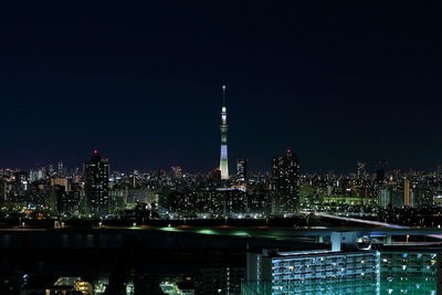 東京スカイツリー明花のゆり