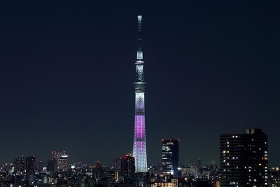 東京スカイツリー夜景「舞」
