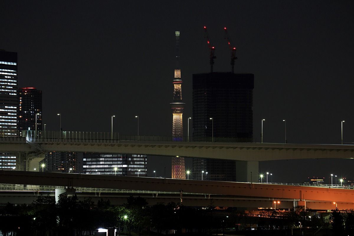 お台場から見た東京スカイツリー夜景 東京スカイツリー定点観測所