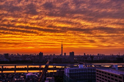 夕焼けと東京スカイツリー