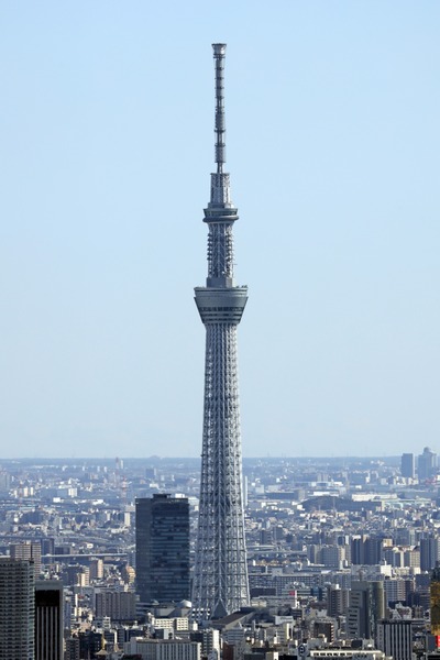サンシャイン60から見た東京スカイツリー