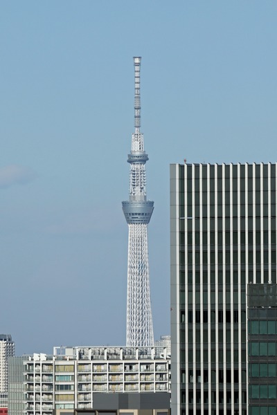 ニュウマン高輪ルフトバウムから見た東京スカイツリー