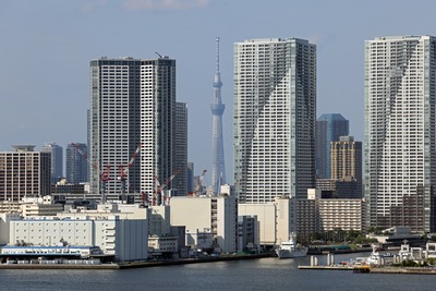 レインボーブリッジから見る隙間ツリー候補地