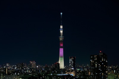 東京スカイツリー明花のハイビスカス