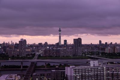街全体が色付いたときの東京スカイツリー