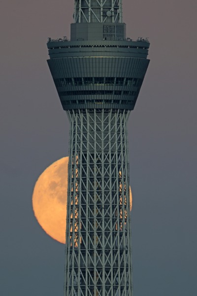 満月と東京スカイツリー
