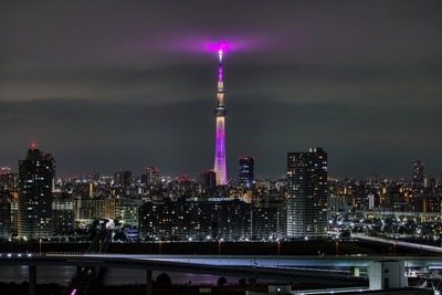 東京スカイツリー夜景「雅」