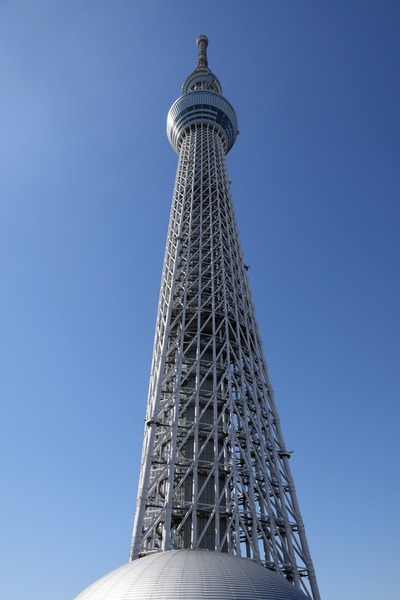 ドームガーデンと東京スカイツリー