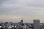 c9621065.jpg