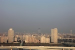 ed70d4f0.jpg