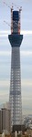 fd453279.jpg