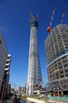 d403bbd8.jpg