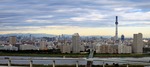 6259ed0d.jpg