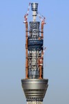 0f55202c.jpg