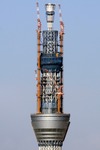 e14de185.jpg