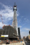 e2951014.jpg