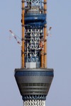 1006fcaf.jpg