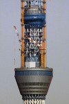 710f07aa.jpg