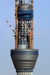 6253857a.jpg