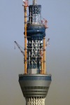 acd68b32.jpg