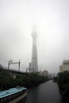 33011057.jpg