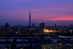 e6145464.jpg