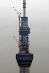 cca04755.jpg