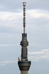f37d646c.jpg