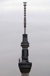 3f312032.jpg