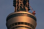 798b5f42.jpg