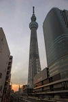 500d6280.jpg